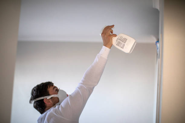 Best Mold Remediation  in Guadalupe, CA