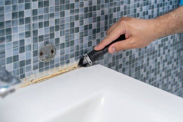 Best Mold Damage Repair  in Guadalupe, CA