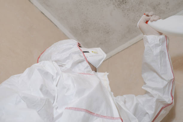 Best Certified Mold Removal  in Guadalupe, CA