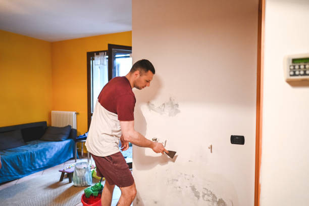 Best Mold Damage Repair  in Guadalupe, CA