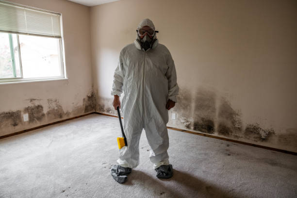 Best Crawl Space Mold Removal  in Guadalupe, CA